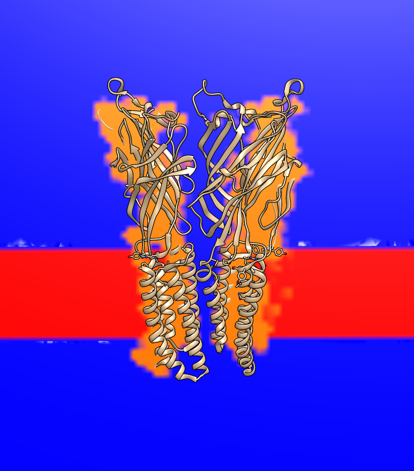 ../_images/glic_mem_dielectric_map.png